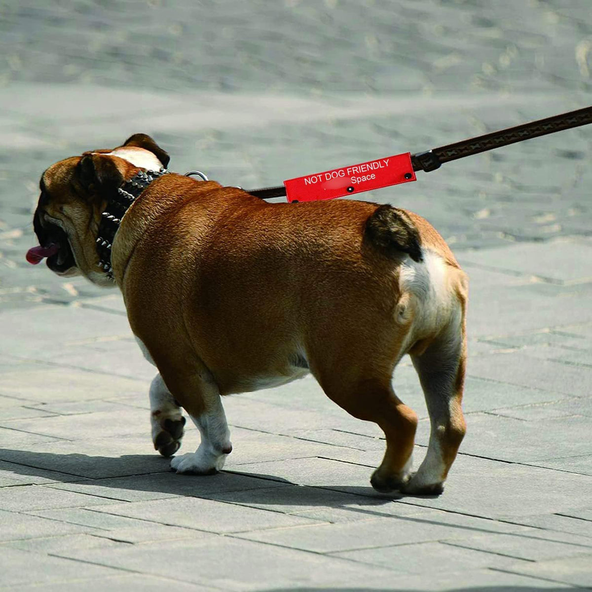Funny Dog Leash Sleeve - Space Dog Leash Wrap Alert Hanging ID Patch Tag Pet Birthday Gift