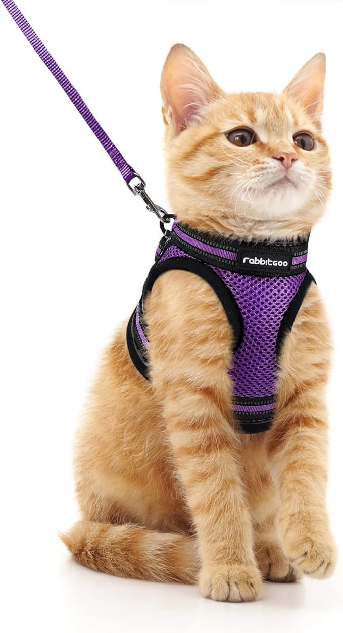 rabbitgoo Cat Harness and Leash Set by rabbitgoo
