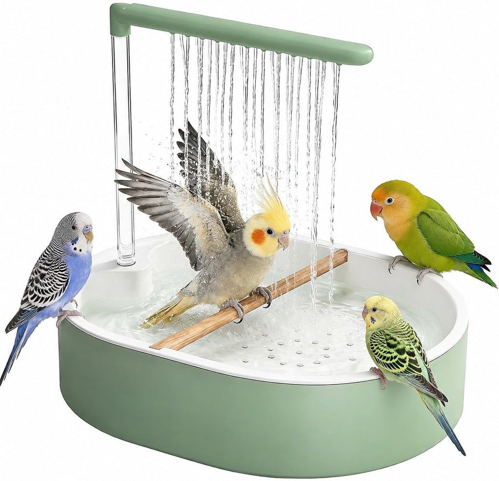 Pacify Automatic Bird Bath Fountain for Parrots & Birds