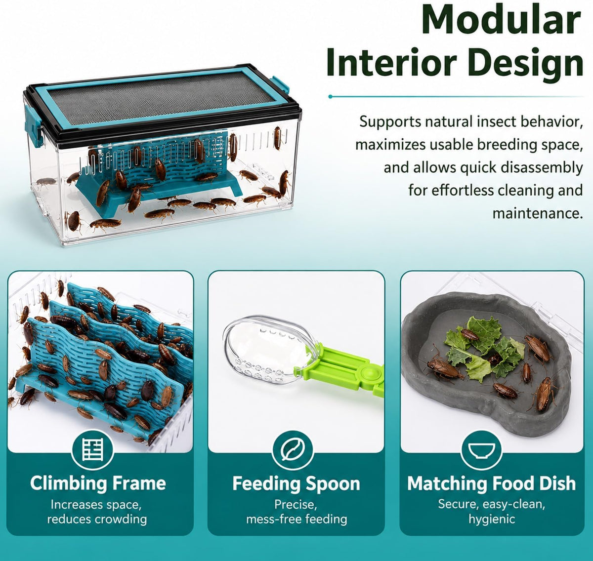 4 Pcs Feeding Container Complete Kit, 10x5.8x4.13 Inch
