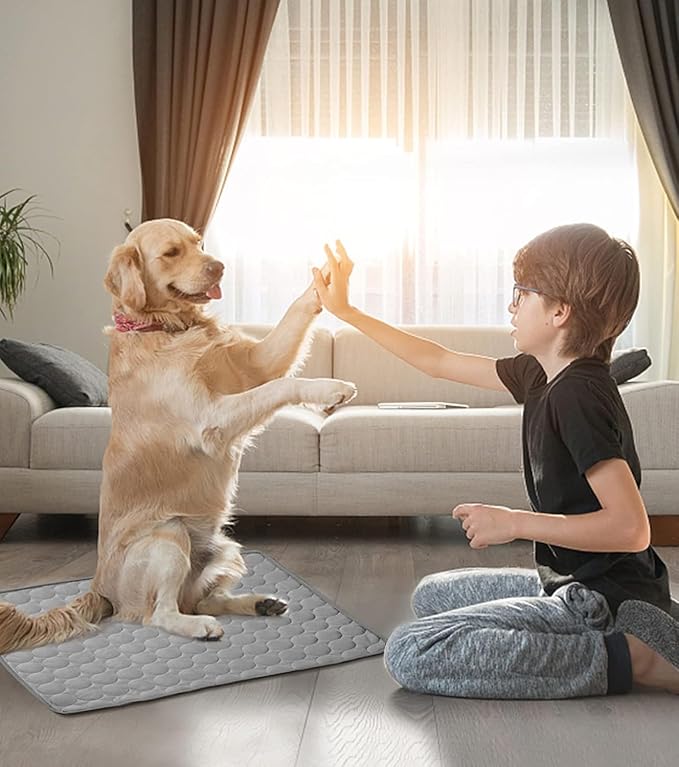 Cooling Mat for Dog Puppy Cat Washable Cooling Pad, Reusable Ice Silk Dog Self - Image 5