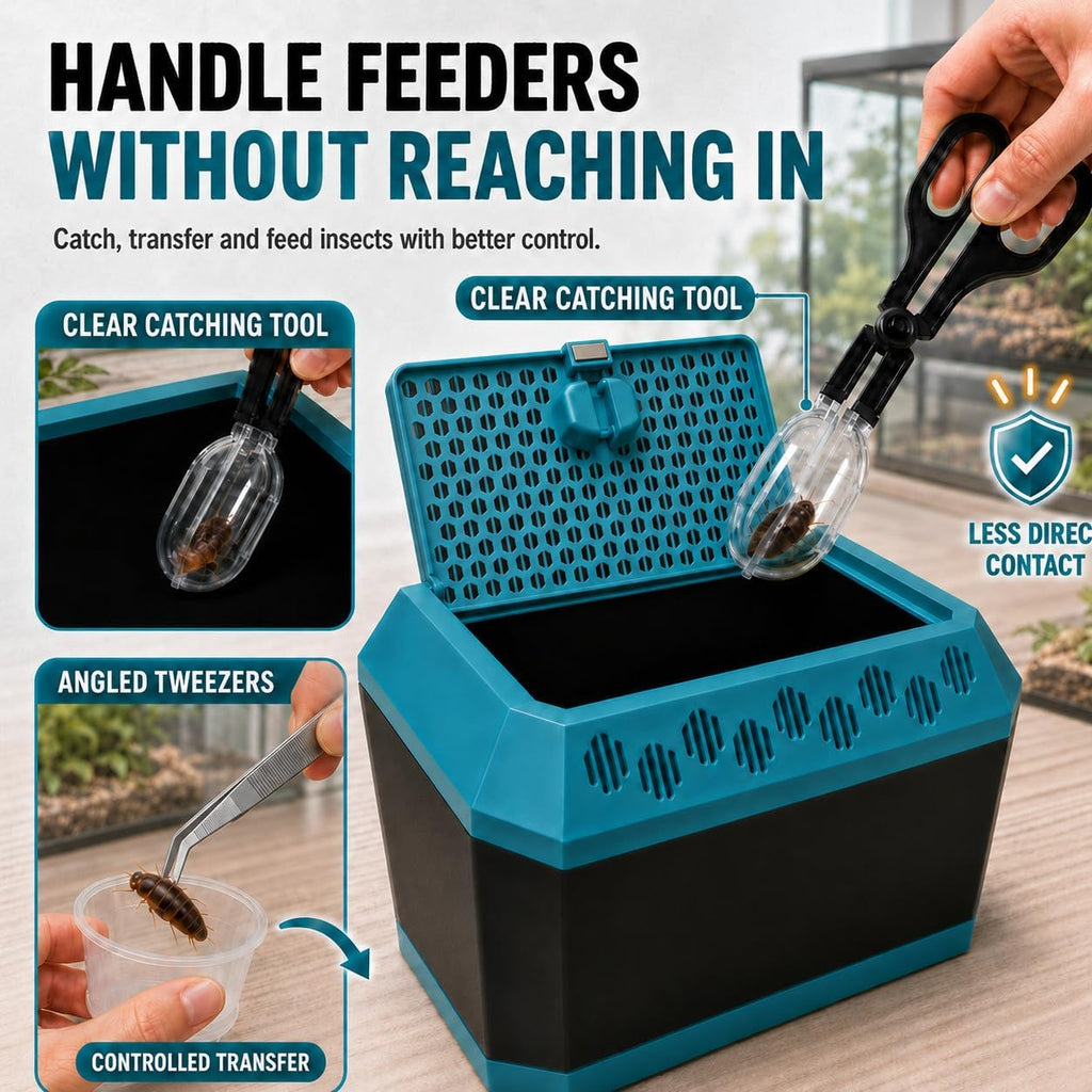 Cricket Keeper for Reptiles, Dubia Roach Enclosure, Cricket Breeding Kit