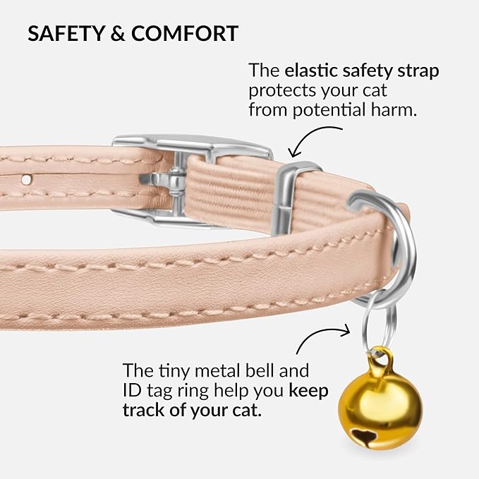 CollarDirect Leather Cat Collar - Image 4