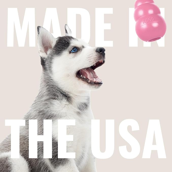 KONG Puppy - Natural Teething Rubber Chew Toy - Image 7