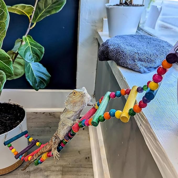 DS. DISTINCTIVE STYLE Bird Ladder Toys Coloured Flexible Parrot Swing Bridge - Image 5