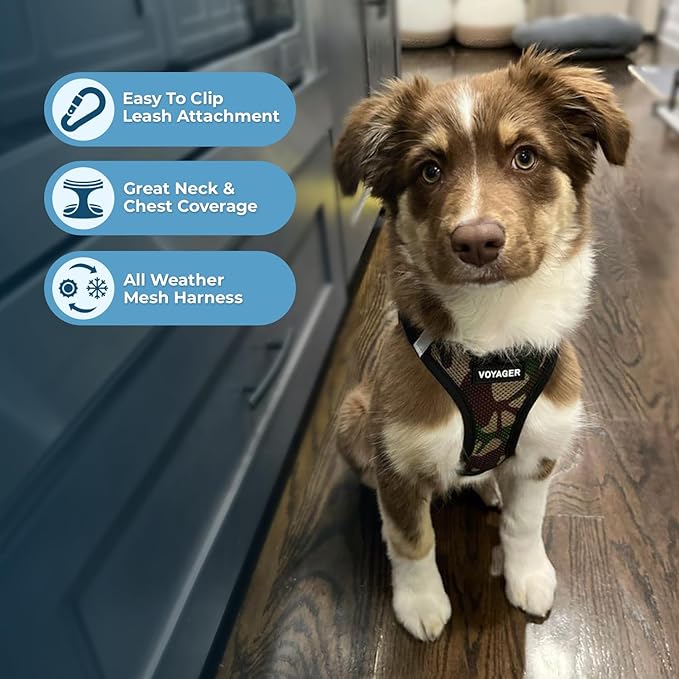 Best Pet Supplies - Image 6