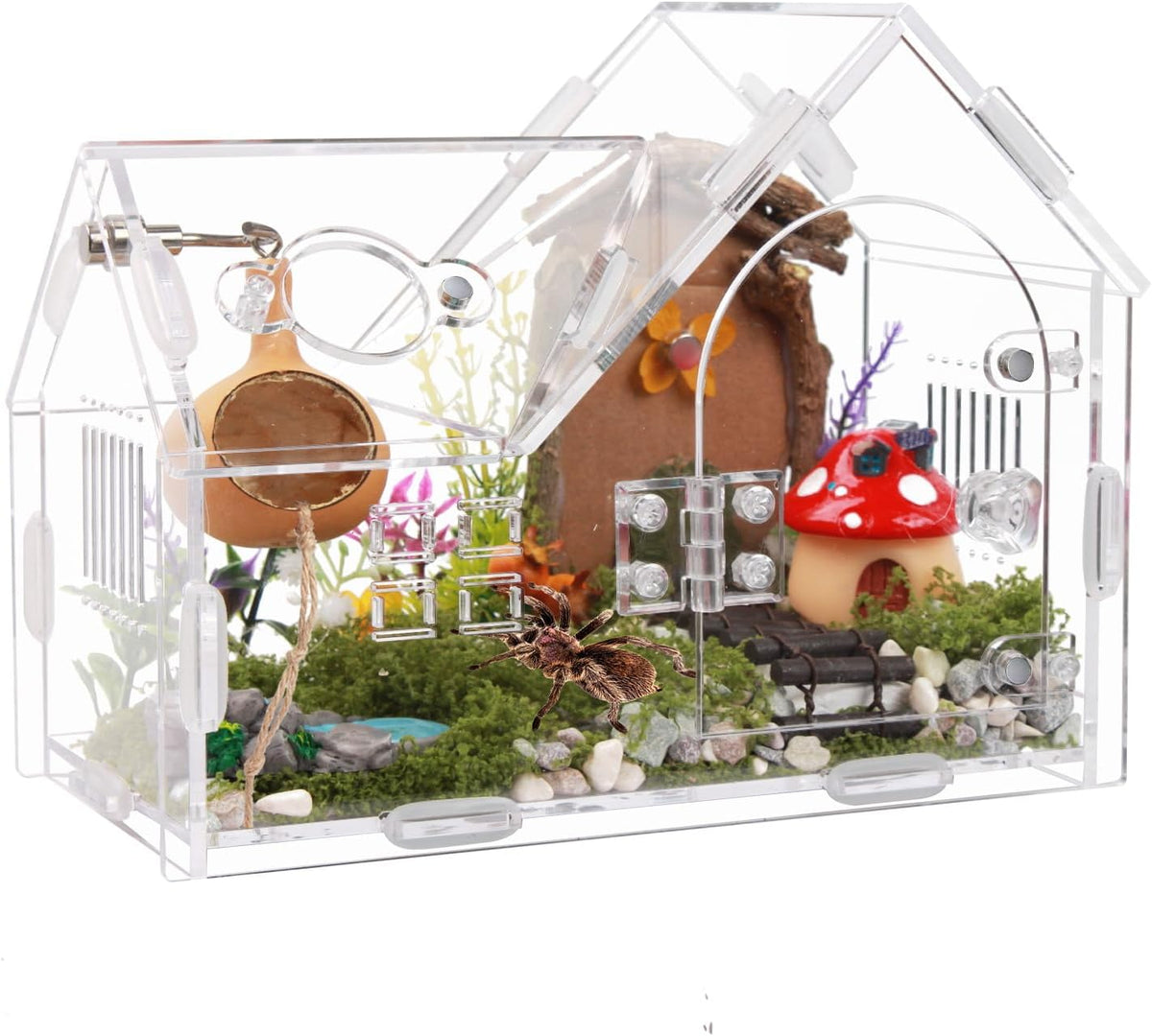 Acrylic Jumping Spider Enclosure House-Shaped Terrarium