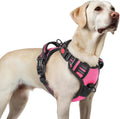 rabbitgoo Dog Harness for Large, Updated Easy On & Off with 3 Buckles