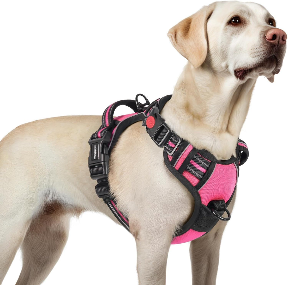 rabbitgoo Dog Harness for Large, Updated Easy On & Off with 3 Buckles