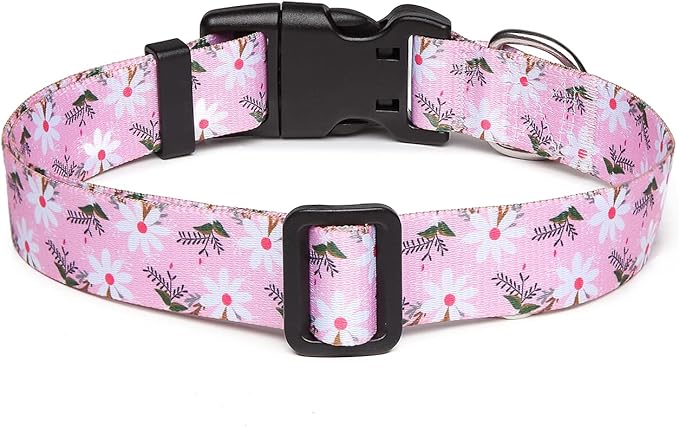 Mercano Adjustable Dog Collar - Image 2