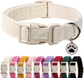 Cute Corduroy Dog Collar by Babolepet