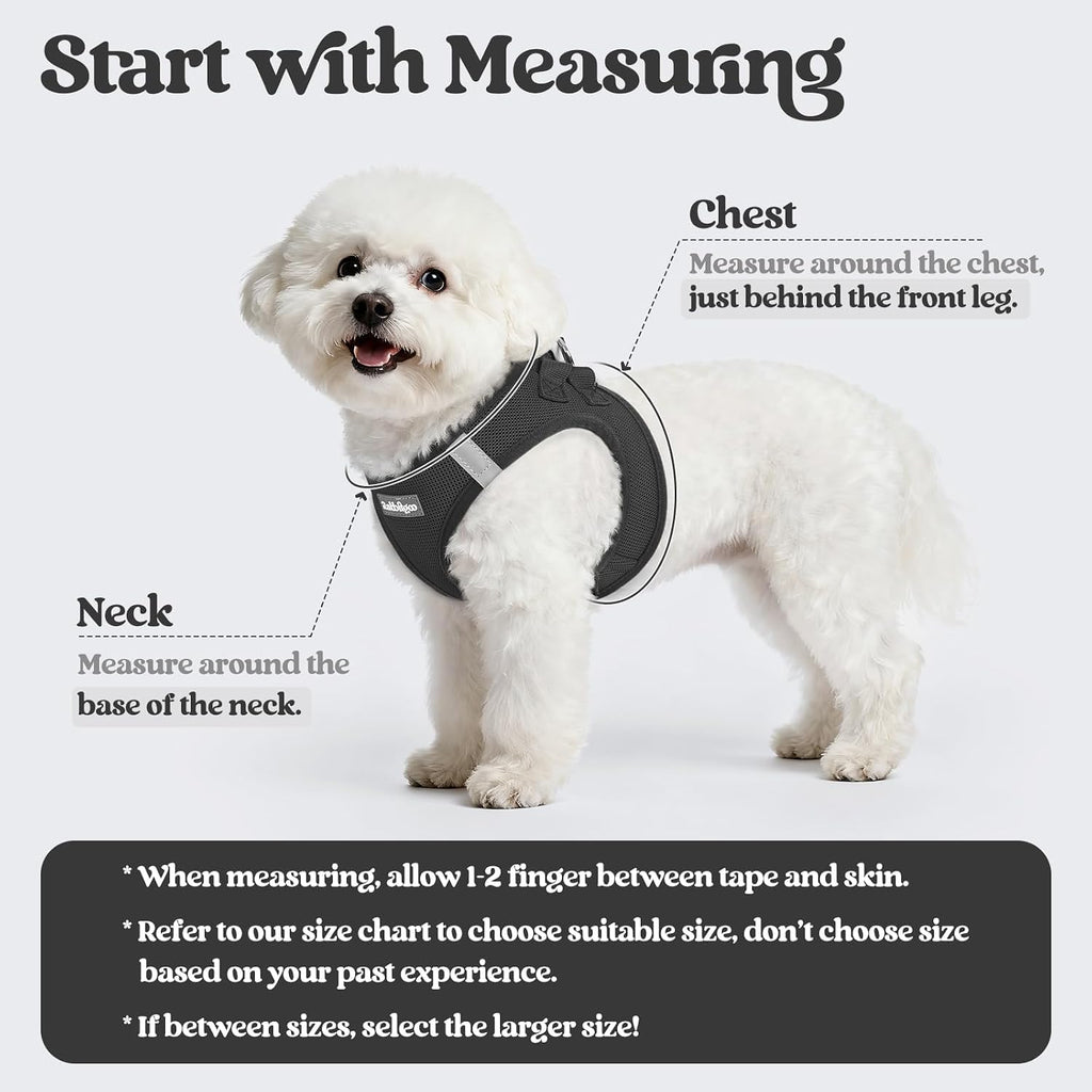 rabbitgoo Dog Harness Small Sized and Leash Set, Step-in Puppy Pet Vest