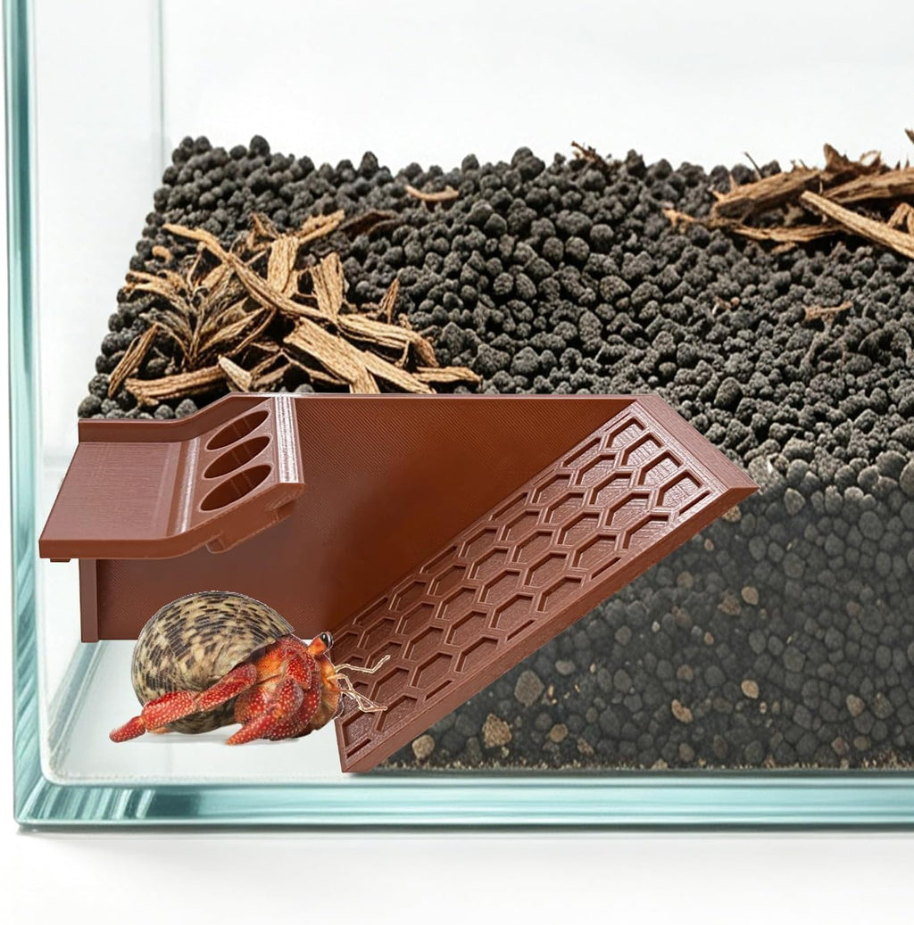 Hermit Crab Cave Hideout