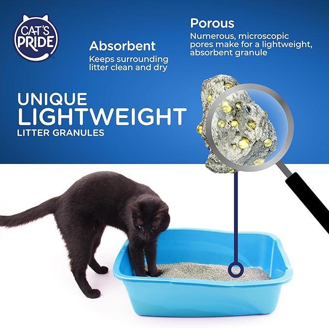 Cat's Pride Lightweight Clumping Litter: Natural - Image 4