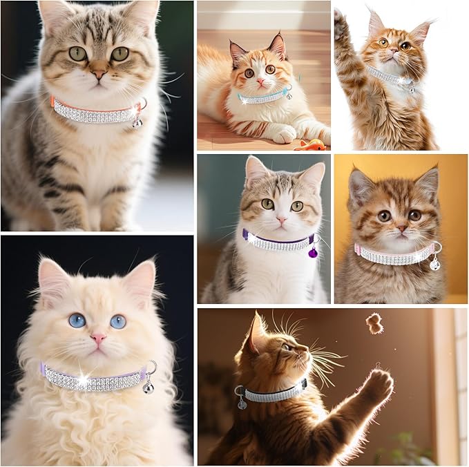EXPAWLORER Soft Velvet Safe Cat Collars - Image 7