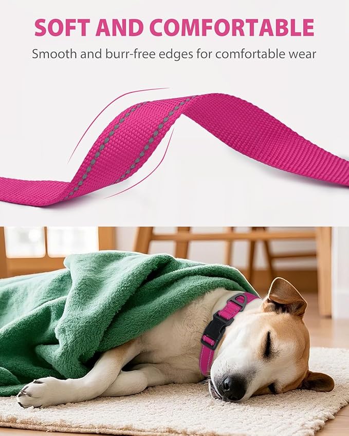 Joytale Reflective Dog Collar, Adjustable Nylon Pet Collar - Image 3