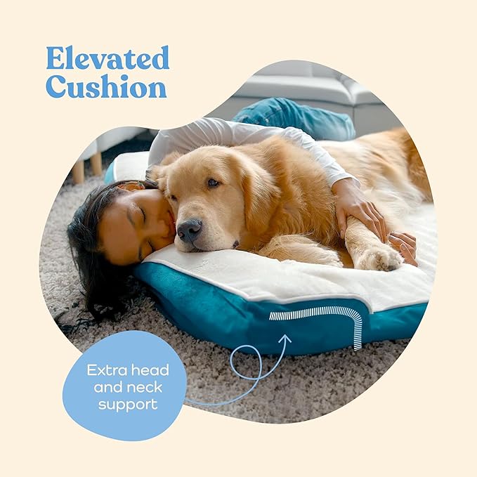 Orthopedic Sofa Dog Bed - Image 4