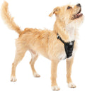 Kurgo Enhanced Strength Tru-Fit Smart Harness, Black, Small