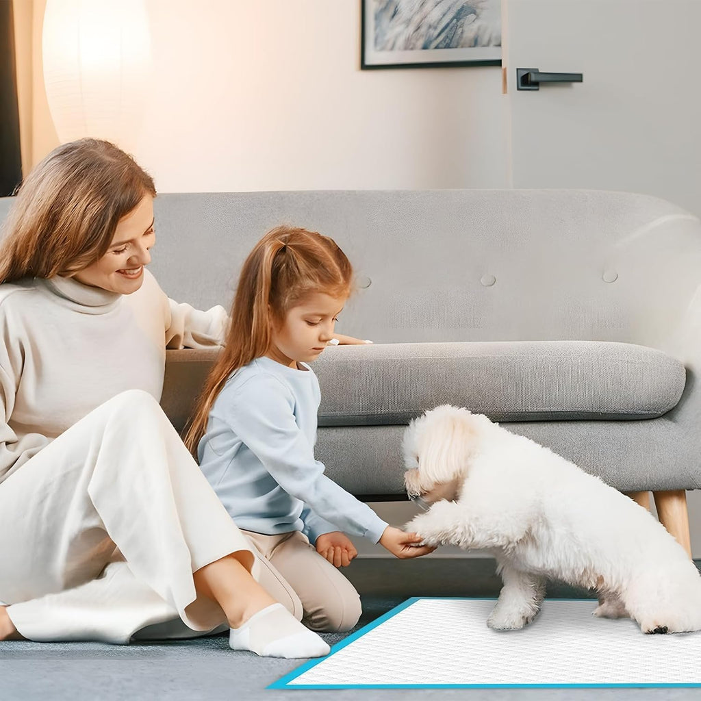 80 Packs 30"x36" Disposable Puppy Pads, Dog Training Pads, Super Absorbency Disposable Underpads with Leak-Proof and Odor Control, Disposable Training Pads for Puppies, Dogs, Cats, Rabbits