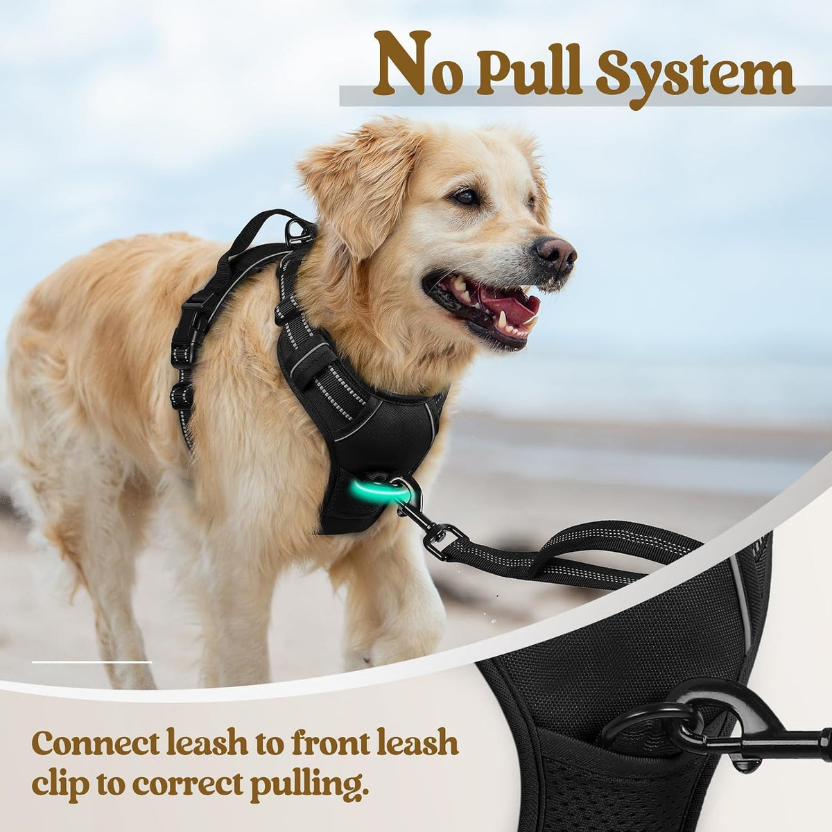 rabbitgoo Dog Harness, No Pull for Small Dogs with 2 Leash Clips, Pet Vest