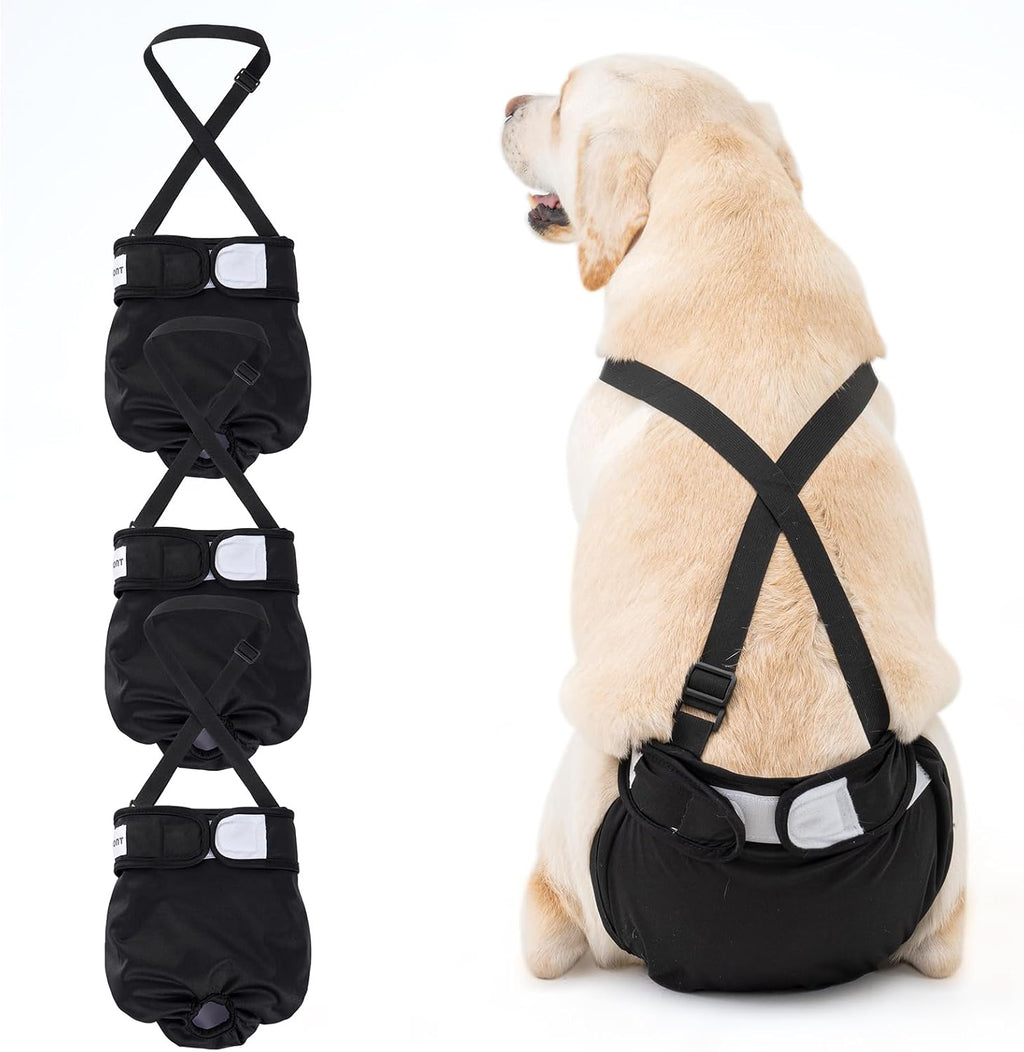 Avont 3 Pack Washable Female Dog Diaper with Suspender - M