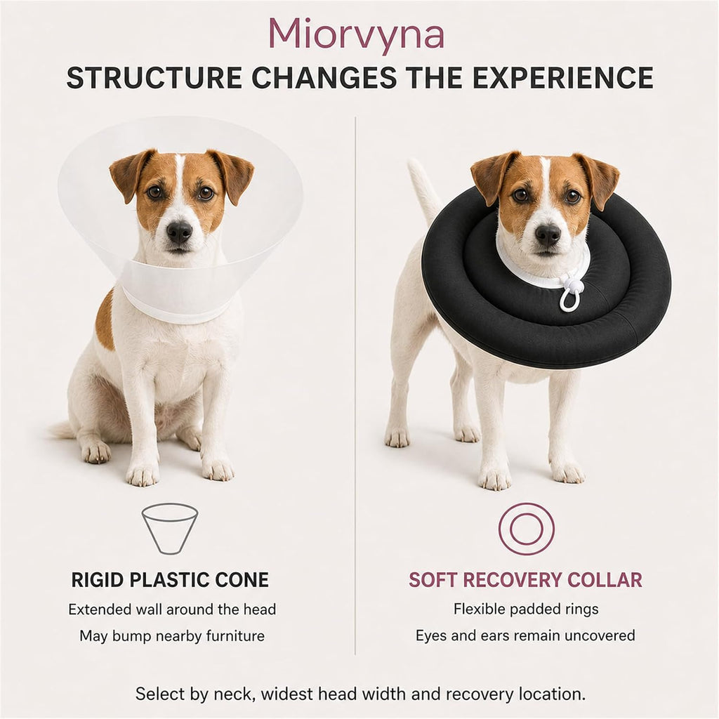 Soft Dog Cone Collar, Donut Recovery Post Surgery, Black, L