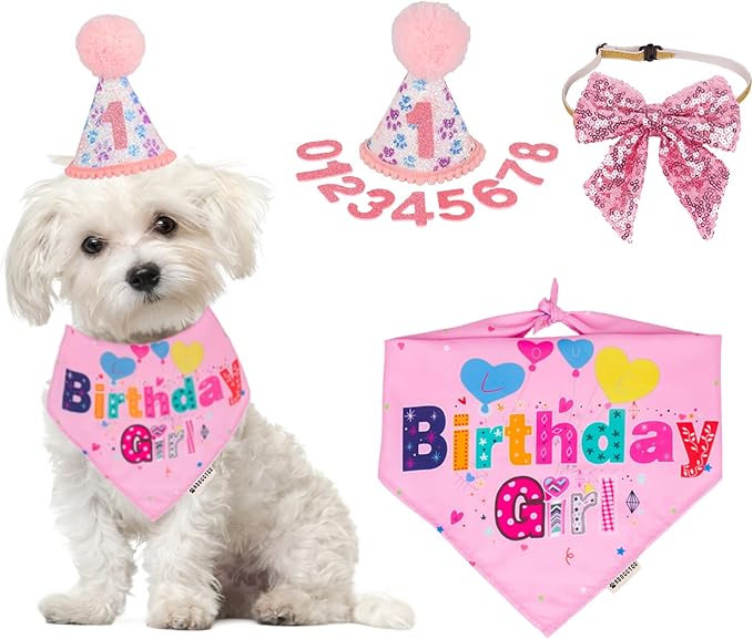 ADOGGYGO Dog Birthday Party Supplies by ADOGGYGO