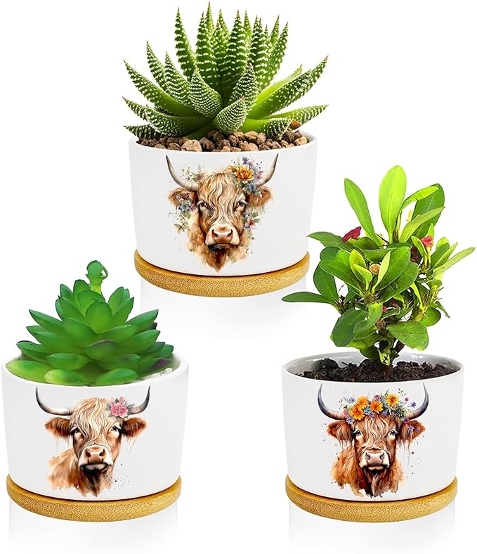 Highland Cow Succulent Pots 3 Pack, 3 Inch Succulent Planters by Databa