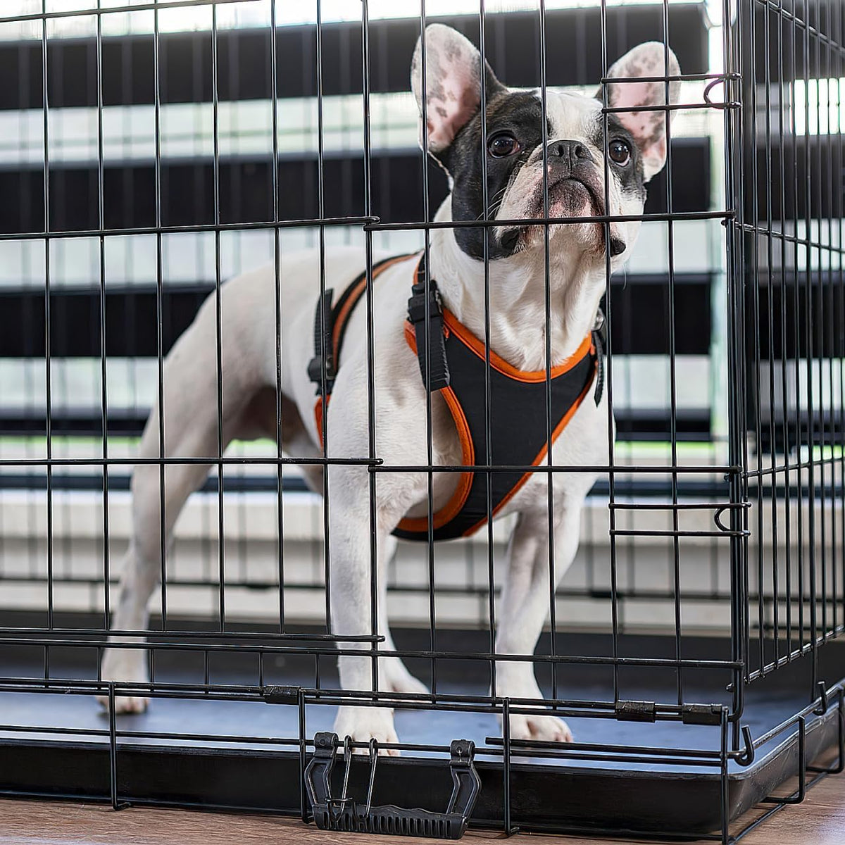 DOITOOL Bird Cage Tray Replacement 17.32 X 11.22 X 1.18 in Leakproof Bottom Tray for Small Dog Crate Parrot Cage Bunny 2 Pack Easy Clean