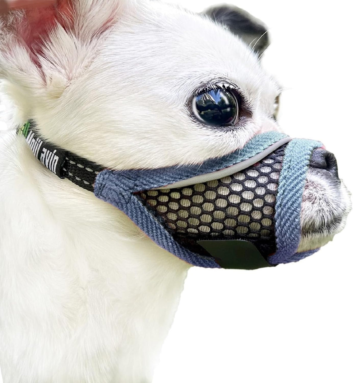 Dog Muzzle, Soft Mesh Muzzles for Small Medium Dogs for Barking Biting Grooming Vet Visits, Short Snout Puppy Mask Allows Drinking, Breathable Mouth Cover 10-20 lbs (Silver-Blue, S)