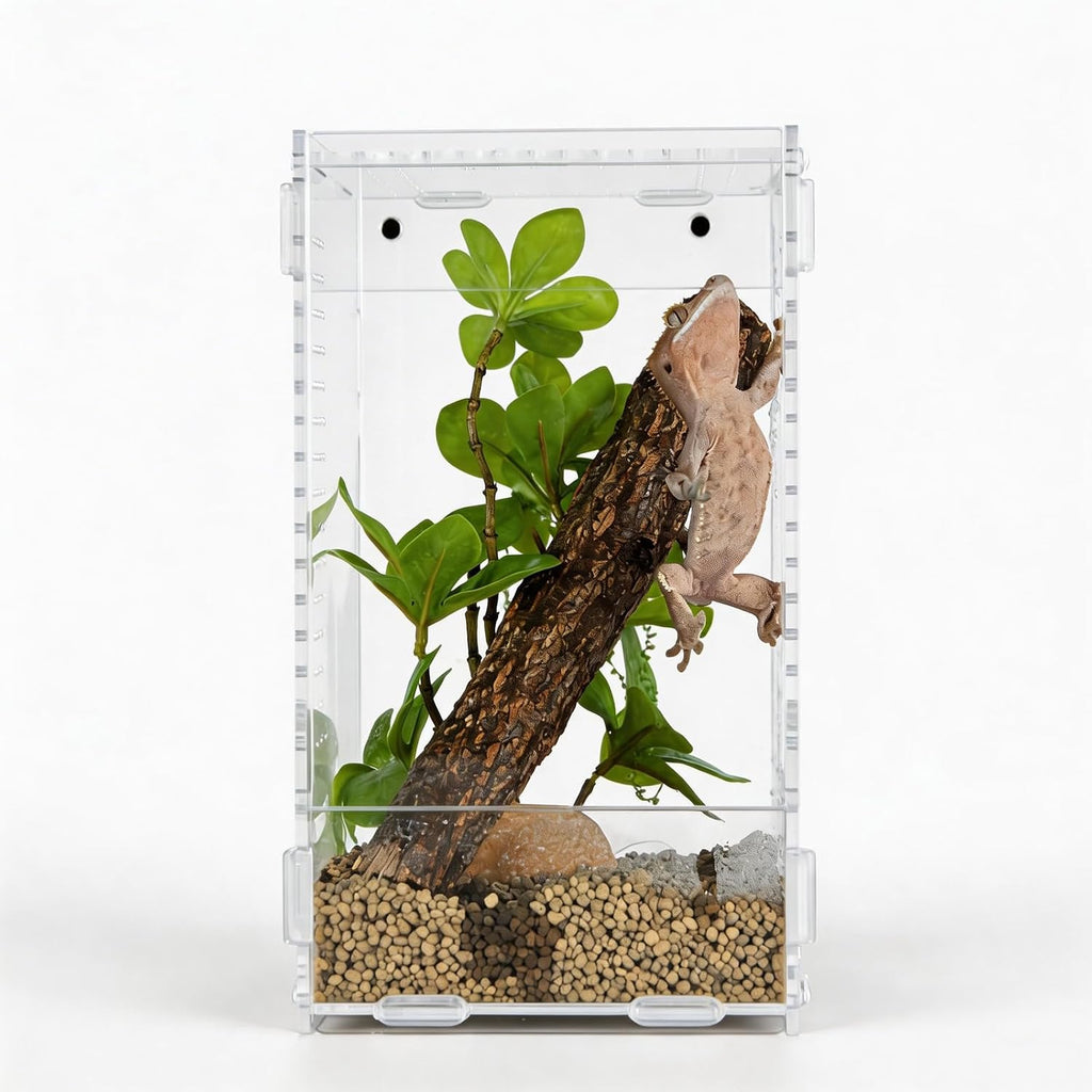 5x5x8 Acrylic Reptile Enclosure - Clear Small Pet Terrarium