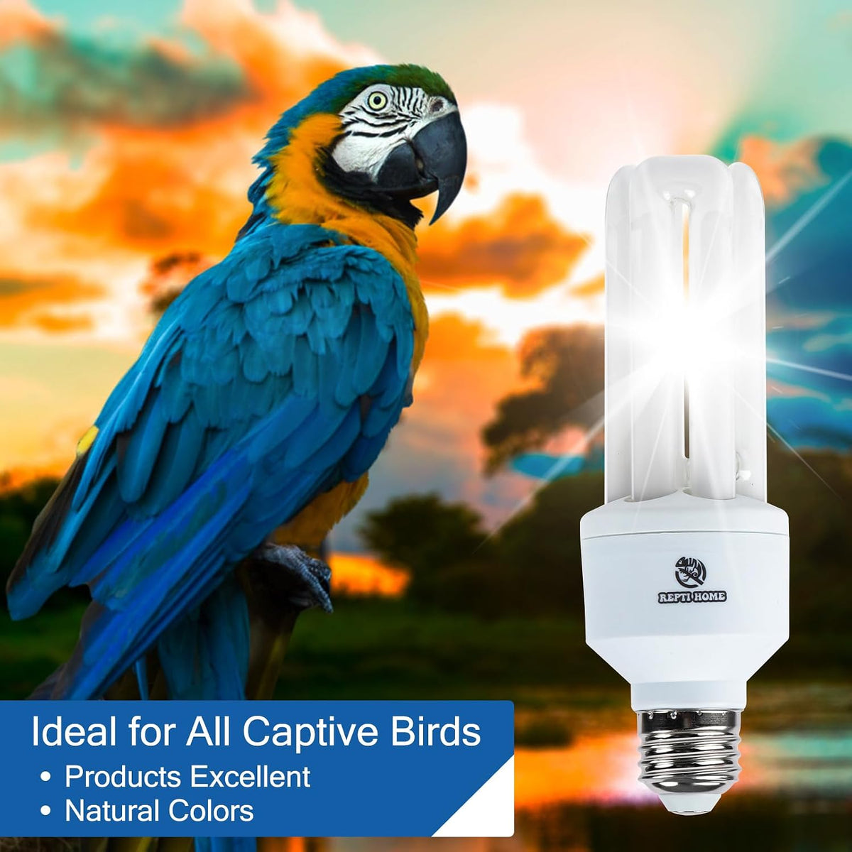 UVA UVB Light Bulb for Birds 2.4 UVB 20W Compact Flourescent Lamp for All Kinds Captive Birds