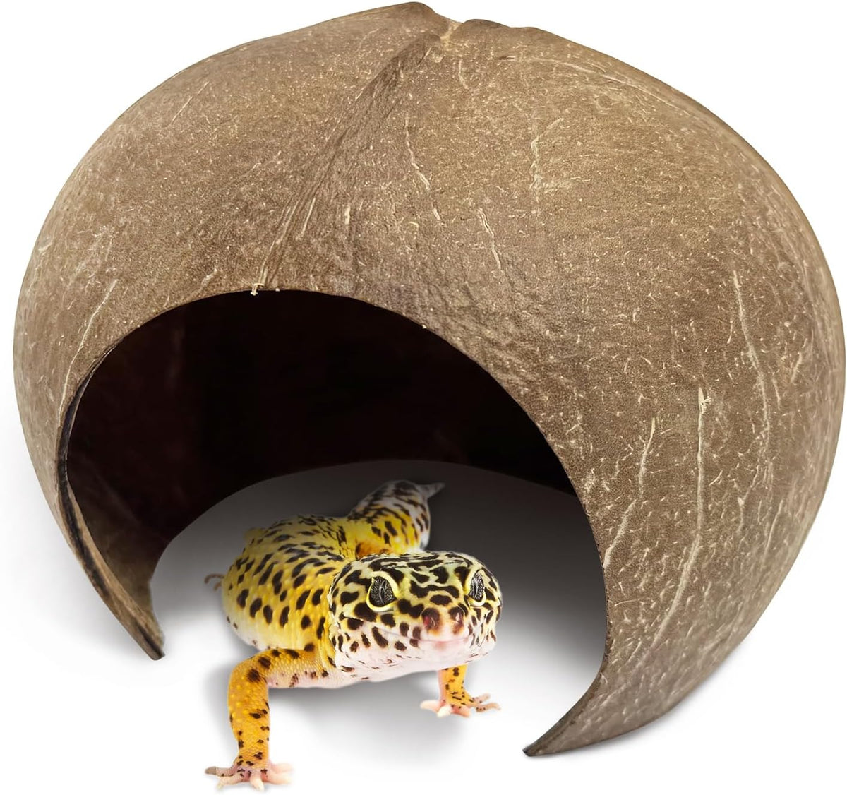 4 Pack Natural Green Moss Hermit Crab Hide Caves Coconut Reptile Hideouts