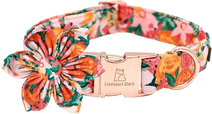 Lionheart Glory Cute Floral Pattern Pet Collar by LionheartGlory