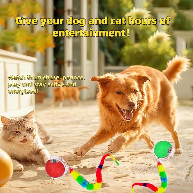 2 PCS Interactive Cat Toy Rolling Ball Chewie Viral Dog Ball - Image 8
