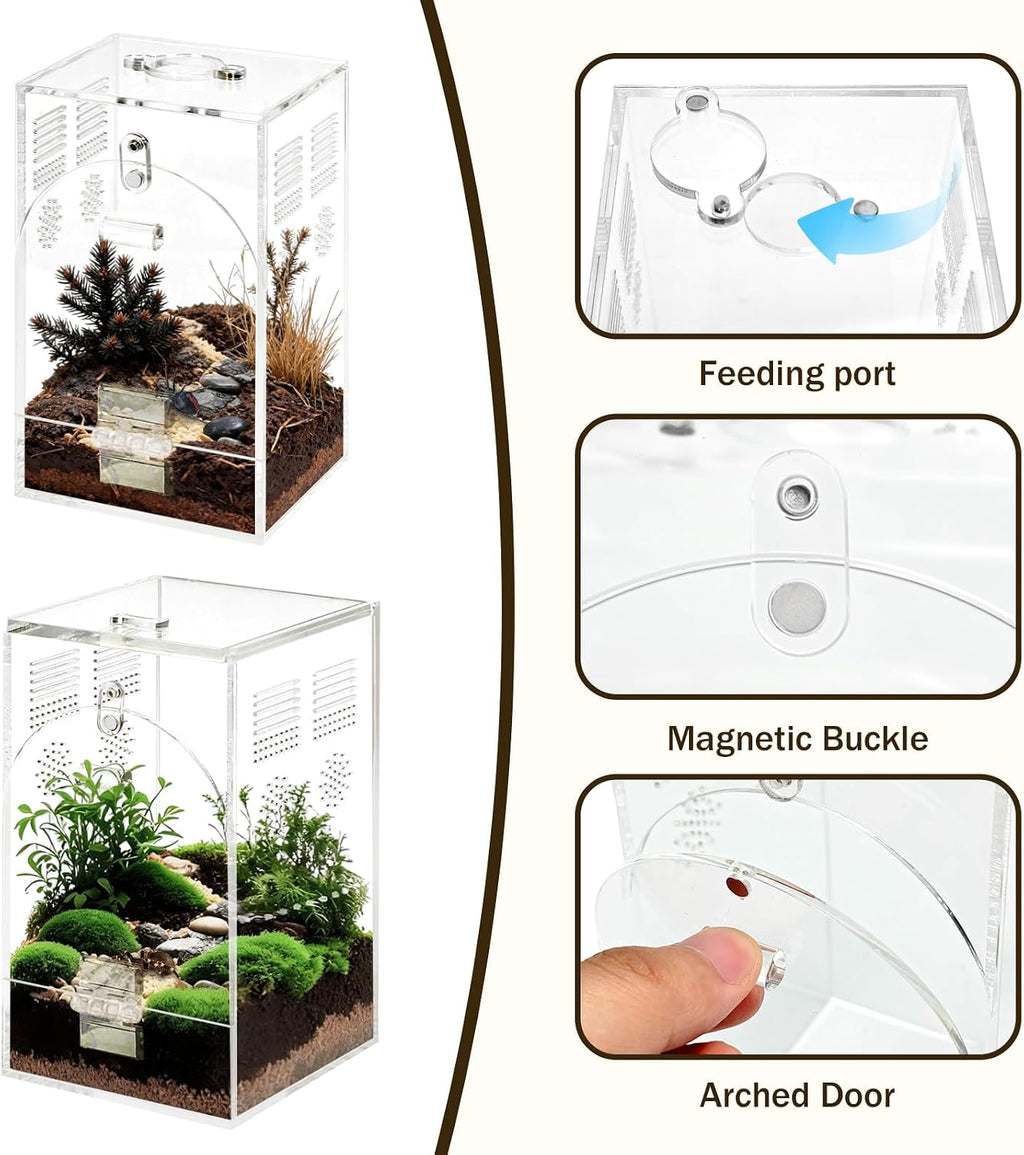 Set of 2 Jumping Spider Enclosure