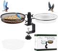 Deck Bird Feeders with Metal Mesh Tray and 2 Water Bowls by HRAYLTOP