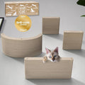 Wall Mounted Cat Shelves by Pryde Pets by PrydePets