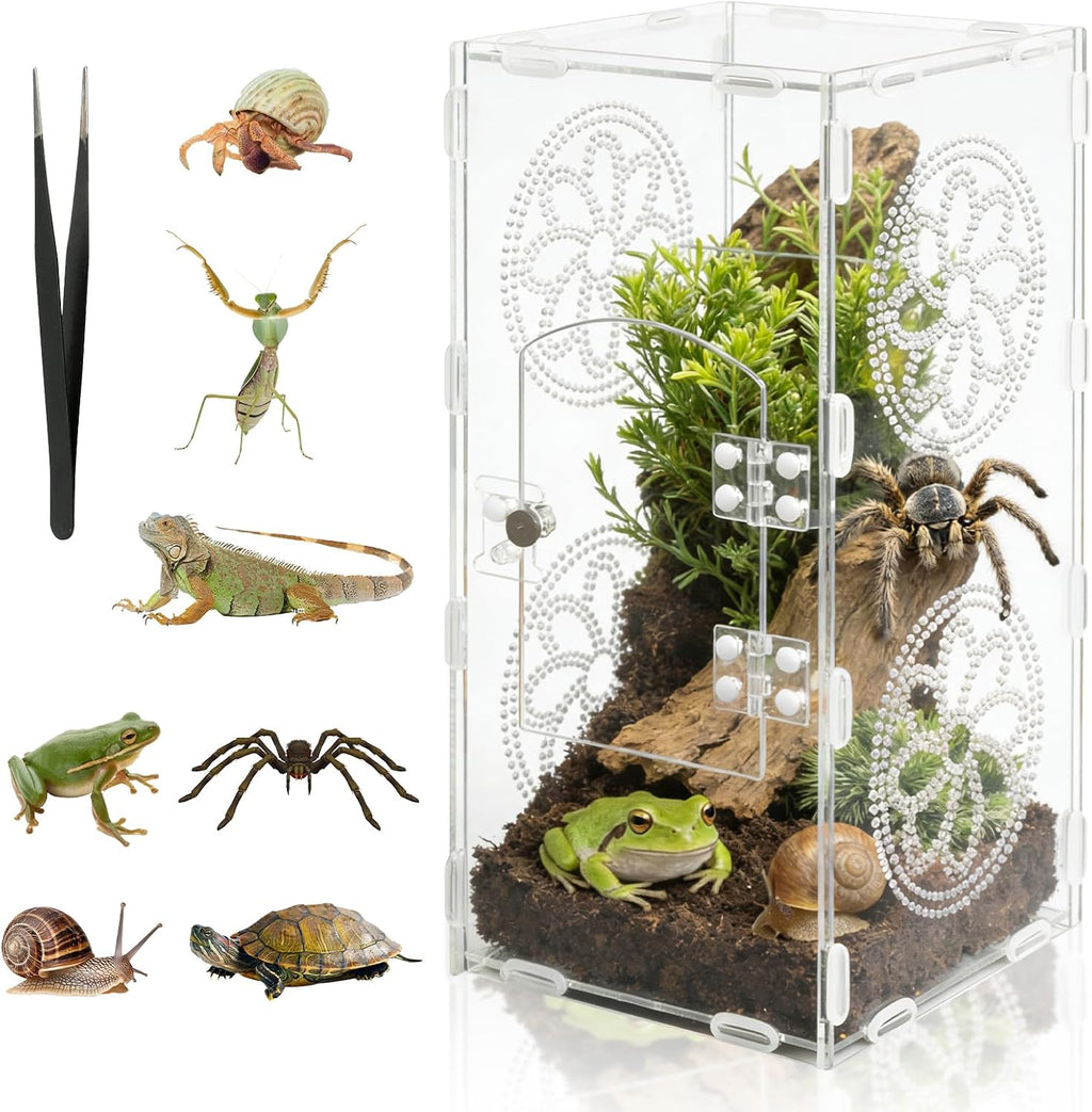 11.8"x5.5"x5.9" Jumping Spider Enclosure with Front Door