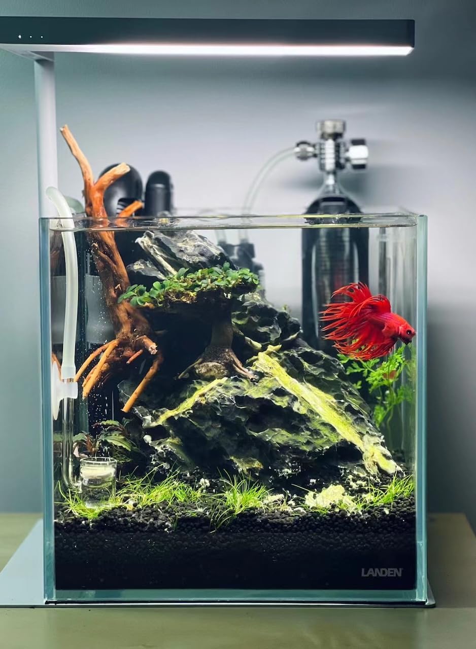 LANDEN Aquarium Substrate Soil for Plant Fish Tank,5L Black Mix Size