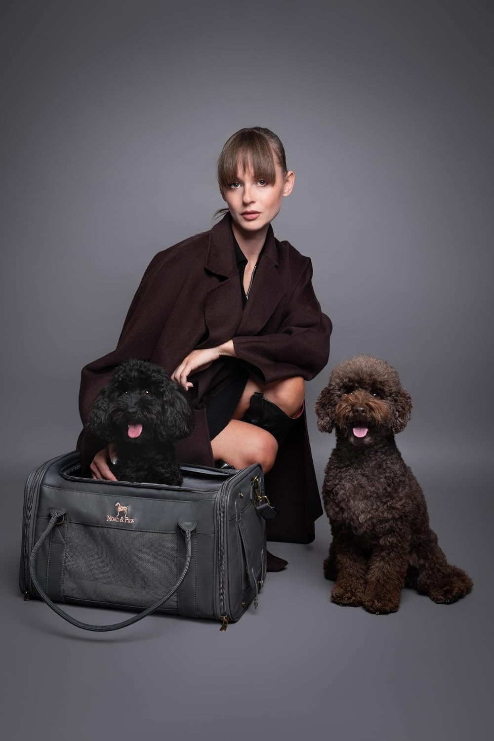 Noah & Paw Cat Carrier Soft Dog Carrier for Small Dogs TSA Airline Approved
