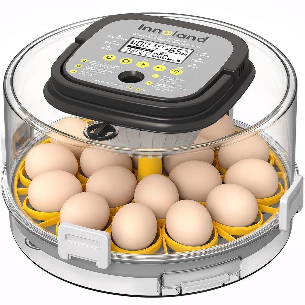 18 Egg Incubator for Hatching Eggs with Humidity & Temperature Control