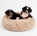 Active Pets Premium Medium Donut Dog Bed, Fits Up to 45 lbs, Machine Washable Cushion, Plush Long Pile Faux Fur Fabric, Portable Beige Pet Bed Furniture for Puppies Adult Canines & Cats