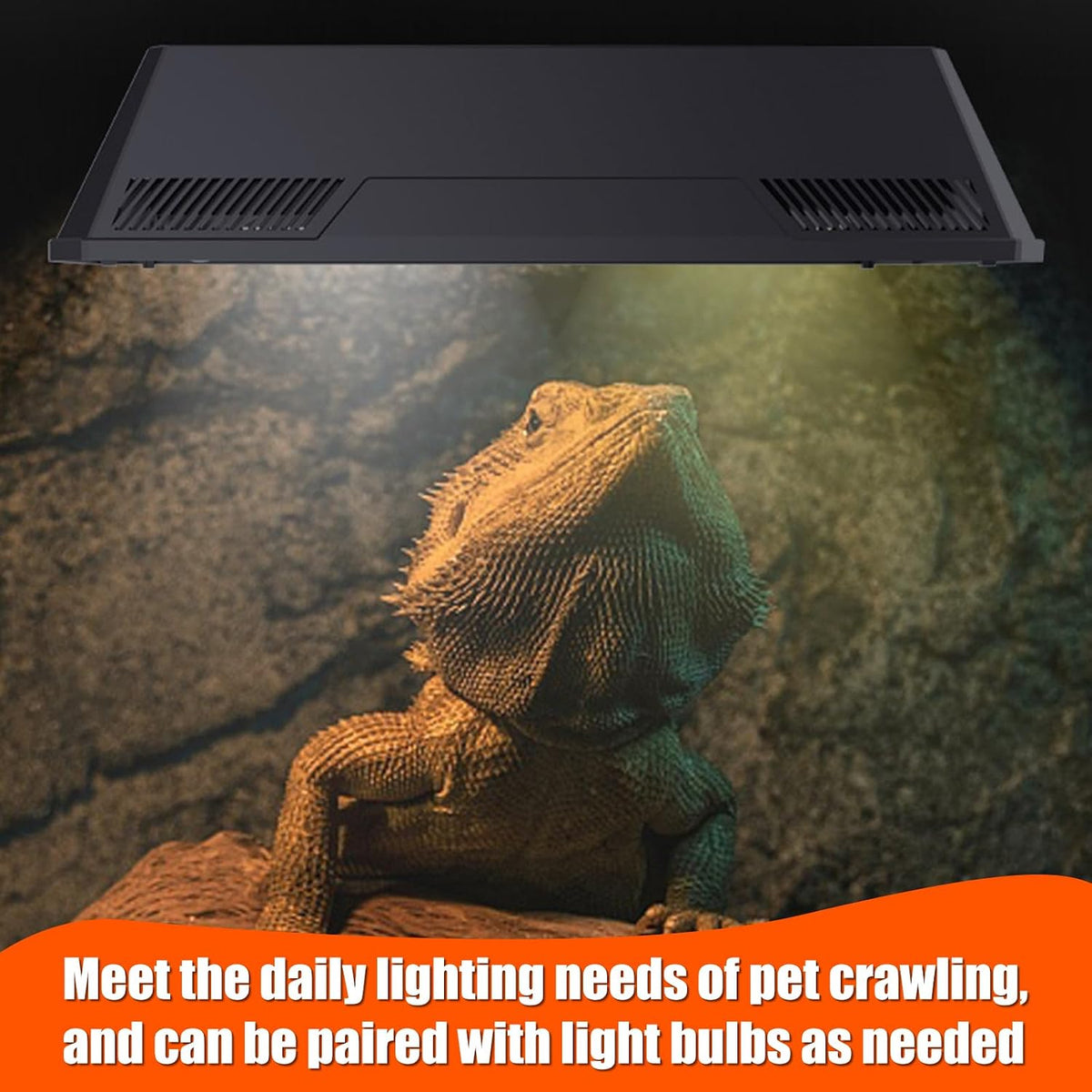 Dual Reptile Light Fixture with Separate Switches, 120W Max E26 Socket