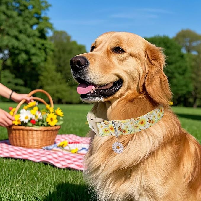 Sunflower Dog Collar, Adjustable Cute Dog Collars - Image 3