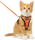 Dooradar Cat Harness and Leash Set, Escape Proof Safe Adjustable Kitten Vest by Dooradar
