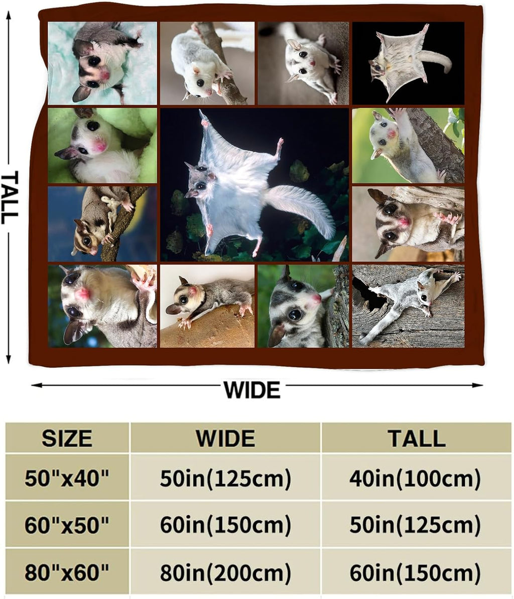 Sugar Glider Blanket,Cute Weasel Animal Lover Throw Blanket Gifts 50"X40"