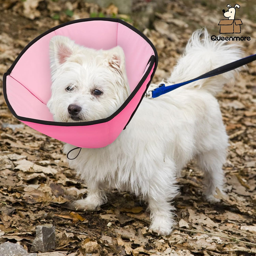 Queenmore Dog Cones for Small Dogs, Soft Cone for Dogs After Surgery