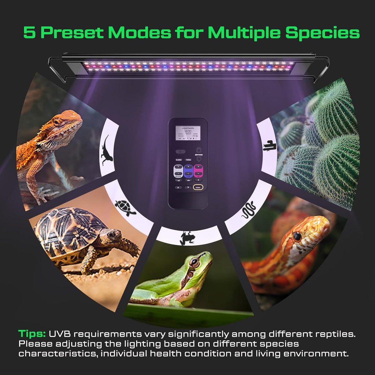 8-Inch UVB Reptile Light, UVB Reptile Light Fixture