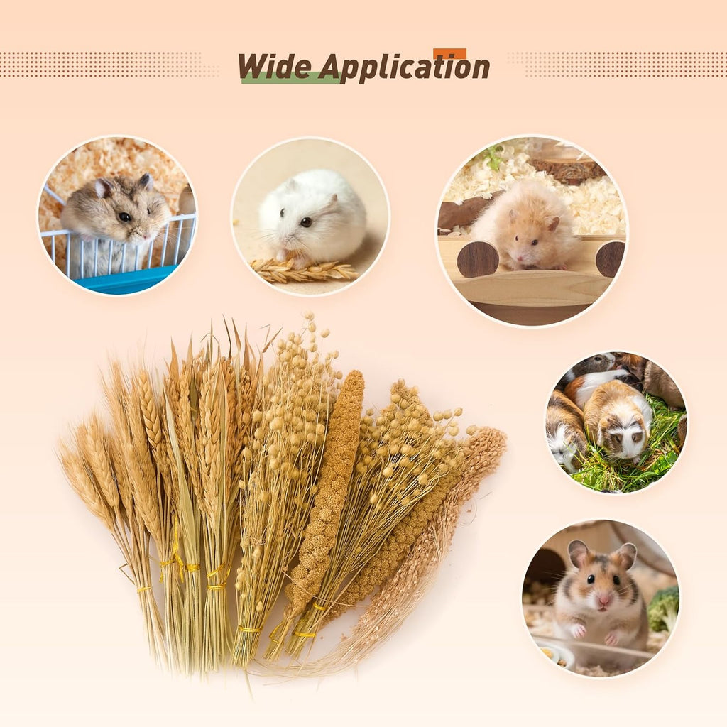 YeCheerful Hamster Sprays and Forage Accessories for Cages, Pet Mouse Decor Textures (5)